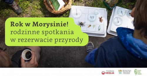 Rok w Morysinie - Rodzinne spotkania w rezerwacie przyrody