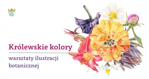 Królewskie kolory | warsztaty ilustracji botanicznej