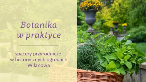 Botanika w praktyce - spacery przyrodnicze w historycznych ogrodach Wilanowa