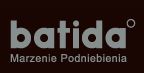 Batida