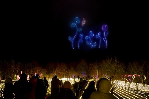 Spektakularne pokazy dronów 8, 9,10 i 11 listopada!