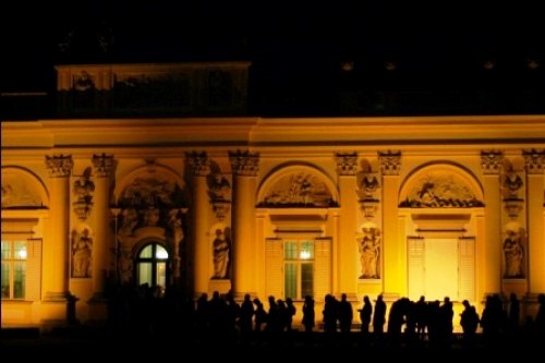 Noc Muzeów w Muzeum Pałacu