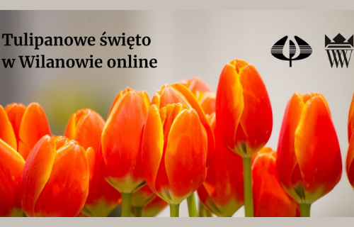 Tulipanowe święto w Wilanowie online