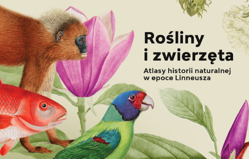 „Rośliny i zwierzęta. Atlasy historii naturalnej w epoce Linneusza” – nowa wystawa w pałacu wilanowskim od 7 maja 2021 r.