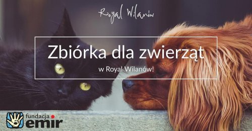 Zbiórka dla zwierząt w Royal Wilanów