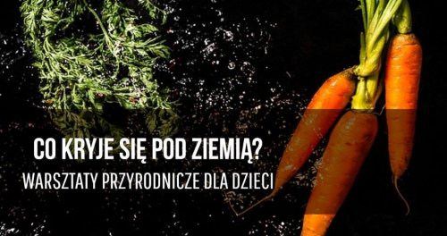 Co kryje się pod ziemią?