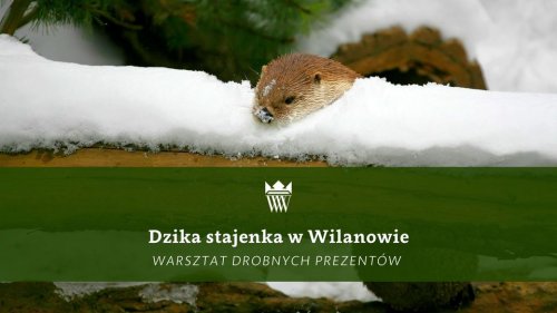 Dzika stajenka w Wilanowie - warsztat drobnych prezentów 