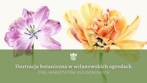 Ilustracja botaniczna w wilanowskich ogrodach - warsztaty rysunku dla dorosłych 