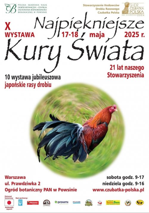 X Wystawa Najpiękniejsze Kury Świata