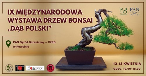IX Międzynarodowa Wystawa Drzew Bonsai 