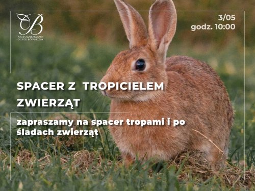Spacer z tropicielem zwierząt