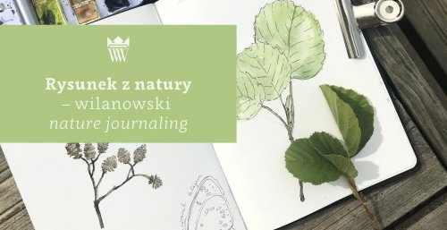 Rysunek z natury – wilanowski nature journaling