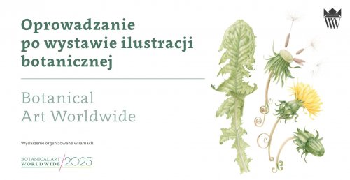 Oprowadzanie po wystawie ilustracji botanicznej - Botanical Art Worldwide