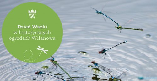 Dzień Ważki w historycznych ogrodach Wilanowa