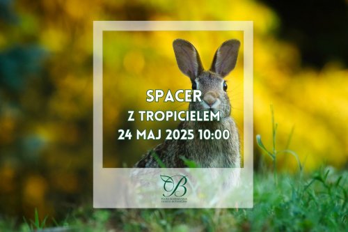 Spacer z tropicielem zwierząt