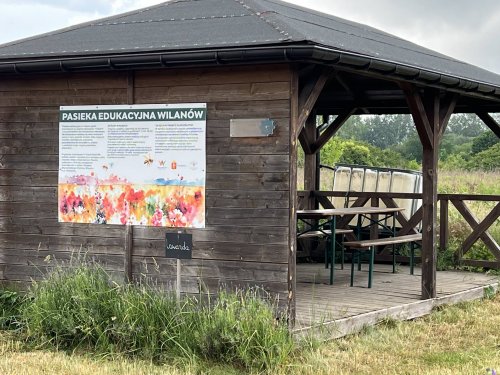 Pasieka Edukacyjna Wilanów - dyżury edukacyjne pszczelarzy