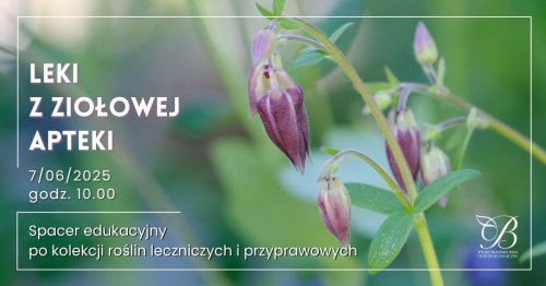 Leki z ziołowej apteki