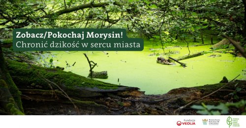 Chronić dzikość w sercu miasta