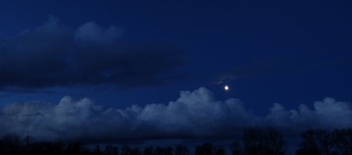 Gwiazda odbita w pełni - nocny spacer z edukatorem po Ogrodzie