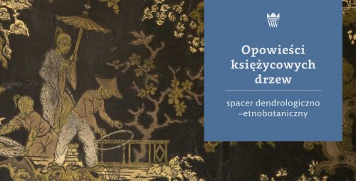 Opowieści księżycowych drzew - spacer