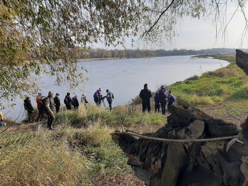 Spacer ornitologiczny - Wisła
