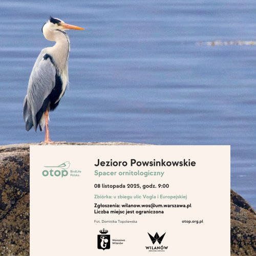 Spacer ornitologiczny - Jezioro Powsinkowskie