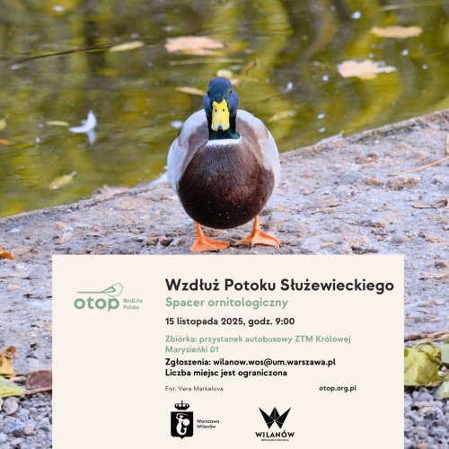  Spacer wzdłuż Potoku Służewieckiego