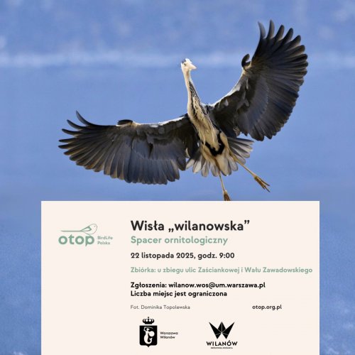 Spacer ornitologiczny - Wisła 