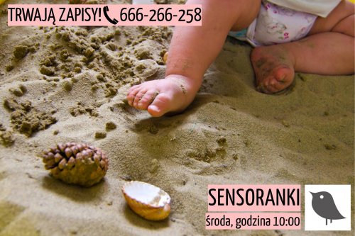 Sensoranki w Polanie!