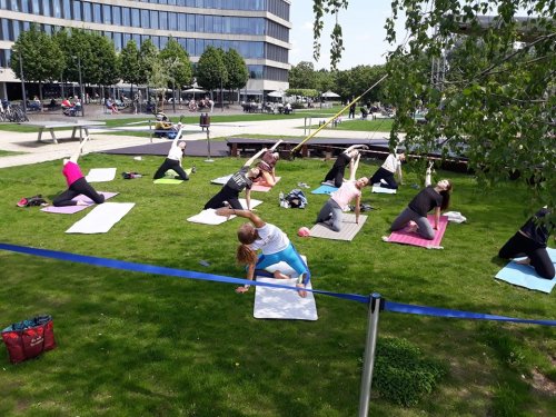 Joga na trawie z 6 Stóp nad Ziemią