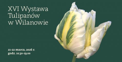 XVI Wystawa Tulipanów