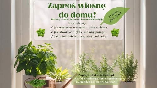 Zaproś wiosnę do domu - warsztaty ogrodnicze