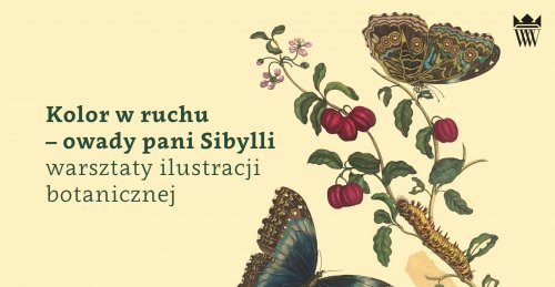 Kolor w ruchu - owady pani Sibylli - warsztaty ilustracji botanicznej