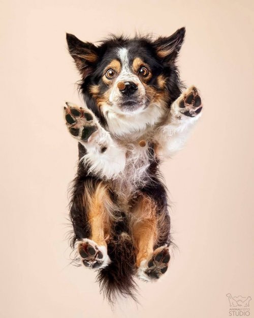 Kształtowanie - warsztaty szkoleniowe