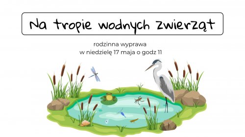 Na tropie wodnych zwierząt - rodzinna wyprawa