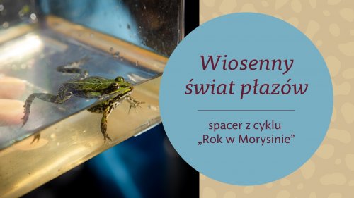 Spotkanie terenowe 