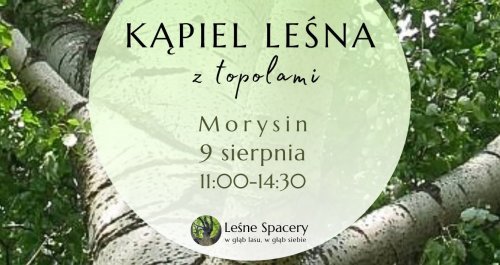 Kąpiel leśna z topolami - leśne spacery. W głąb lasu, w głąb siebie.