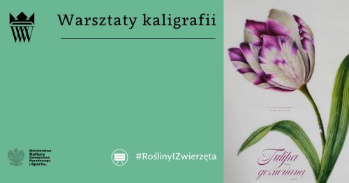 Porcelanowy atlas botaniczny