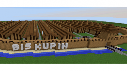Biskupin - pierwsza osada - warsztaty Minecraft