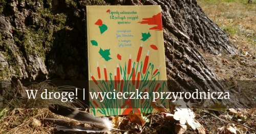 W drogę!