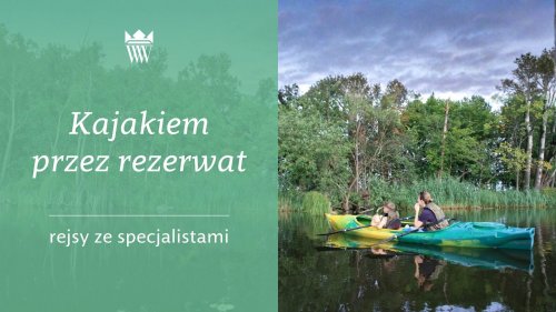 Kajakiem przez rezerwat - rejsy ze specjalistami