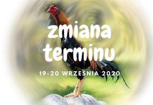 Wystawa Najpiękniejsze Kury Świata