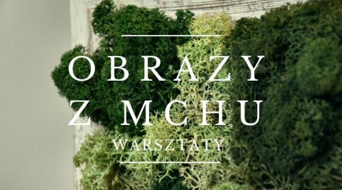 Obrazy z