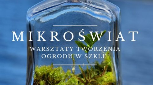 Mikroświat zamknięty w szkle