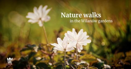 Nature walks in the Wilanów gardens