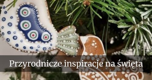 Cicha noc w pałacu | Przyrodnicze inspiracje na święta