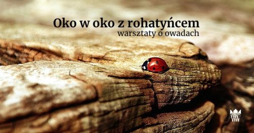 Bezpłatne warsztaty przyrodnicze dla dzieci