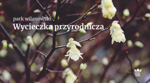 Wycieczki przyrodnicze po ogrodach wilanowskich