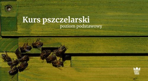 Warsztaty pszczelarskie | poziom podstawowy