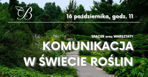 Komunikacja w świecie roślin